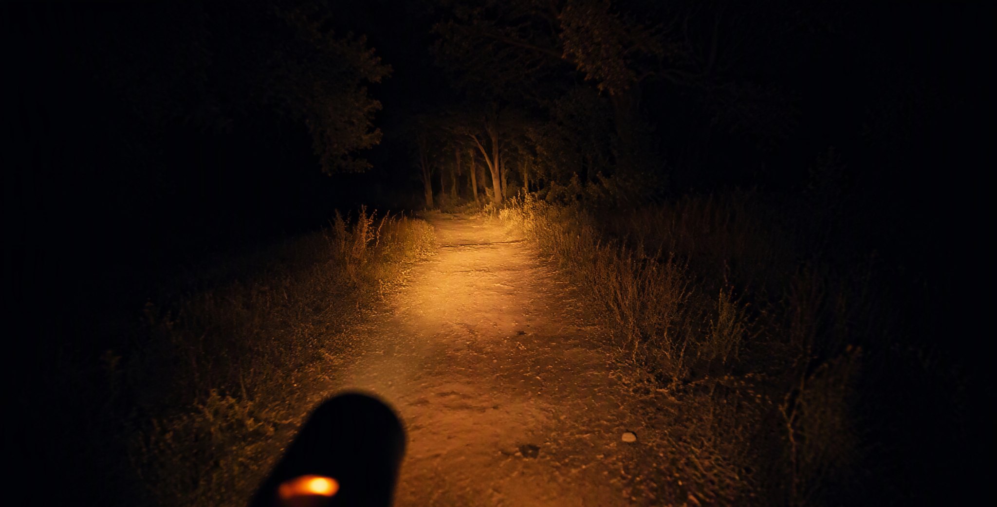 A warm flashlight beam cutting through darkness on a country path