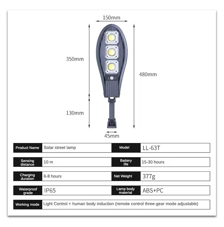 Solar Pathway Light