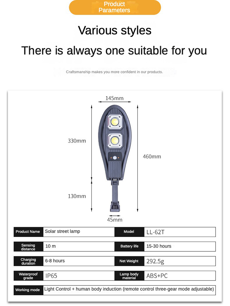 Solar Pathway Light