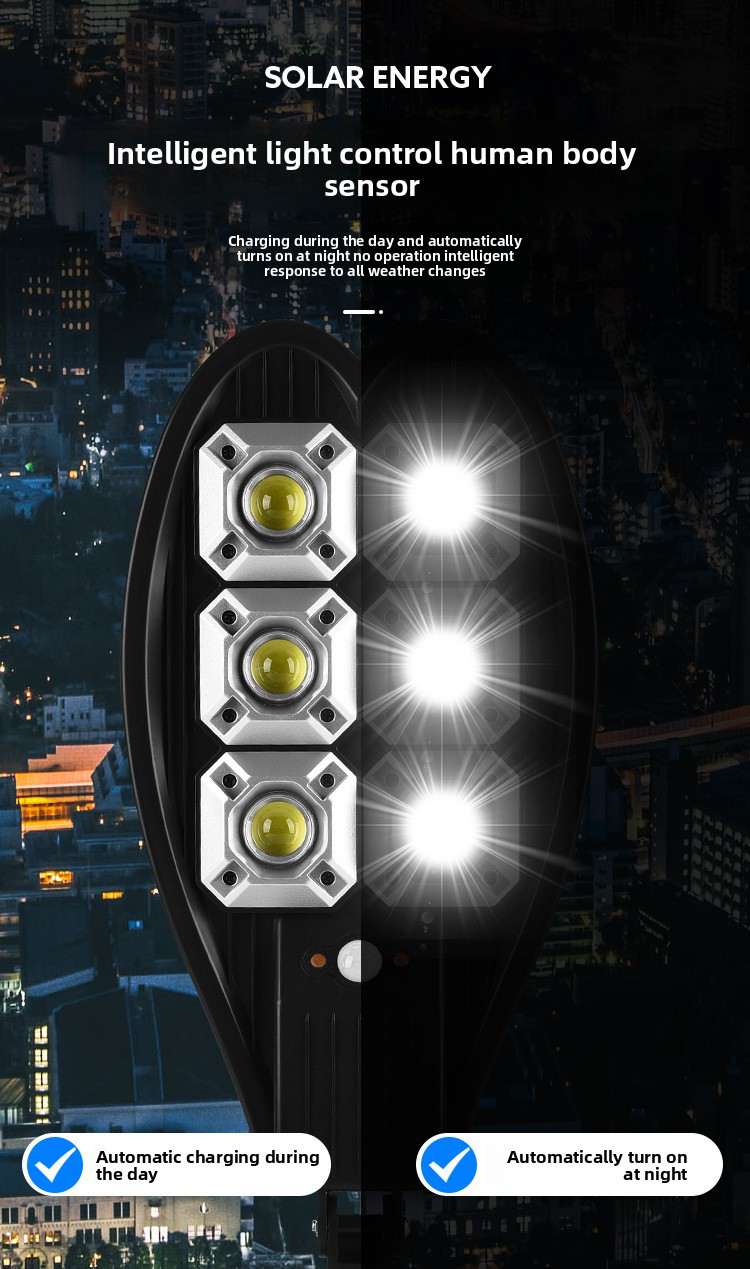Solar Pathway Light