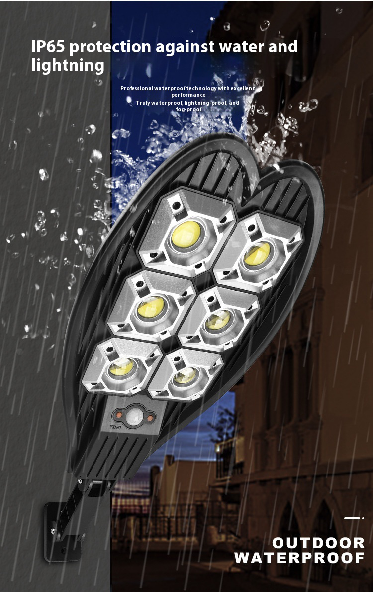 Solar Pathway Light
