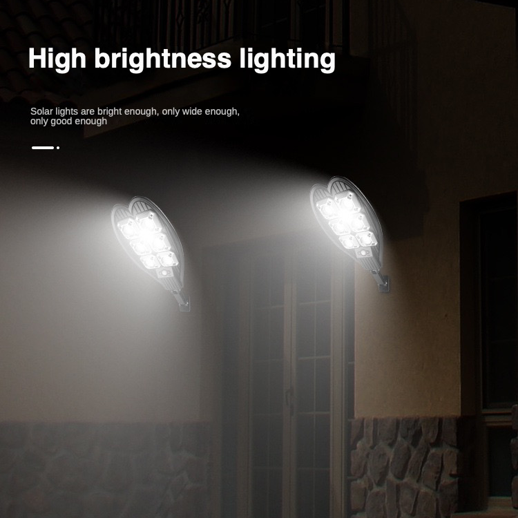 Solar Pathway Light