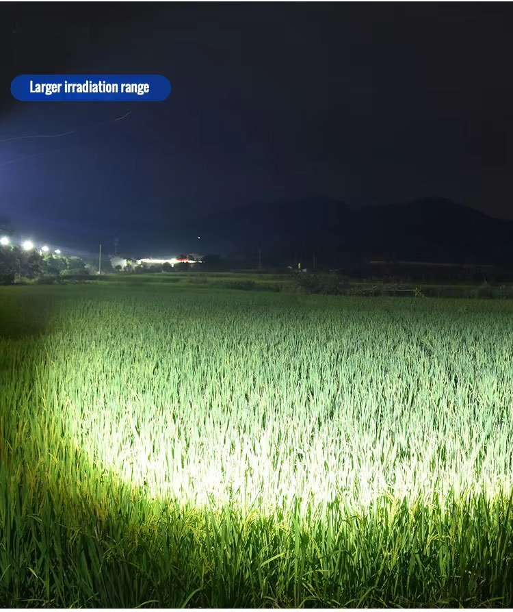 Rechargeable LED Headlamp